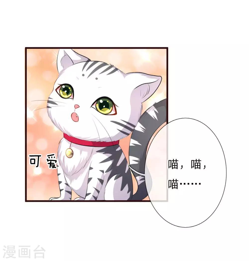 第77话 萌猫球球-第122话