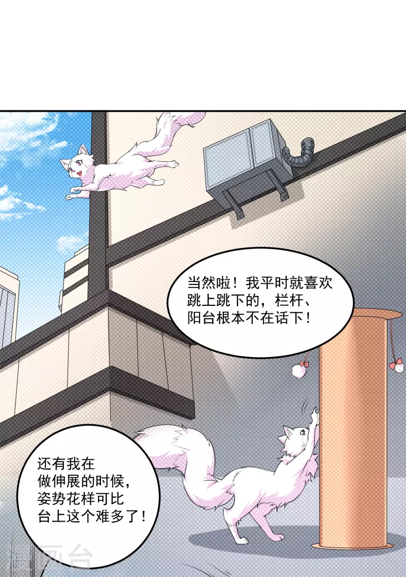 第41话 钢管舞-第48话