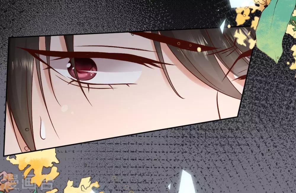 第104话 调查许颜书-第110话