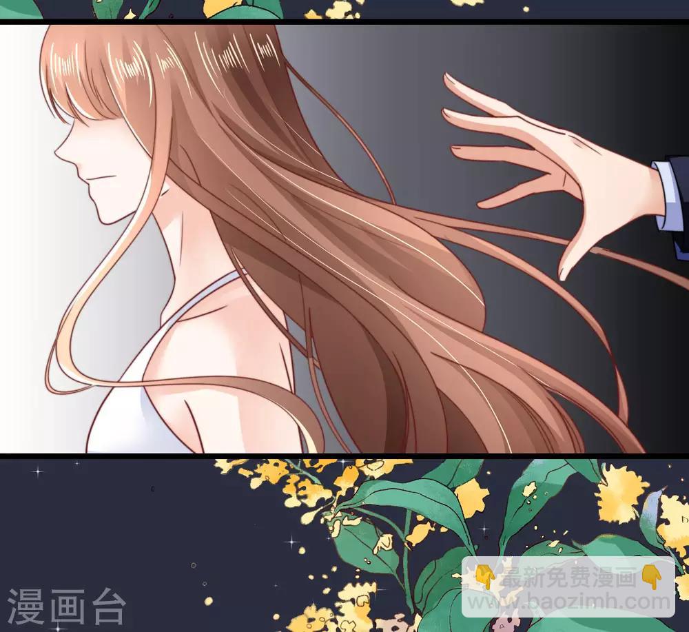 第47话 终于确定的心意-第48话