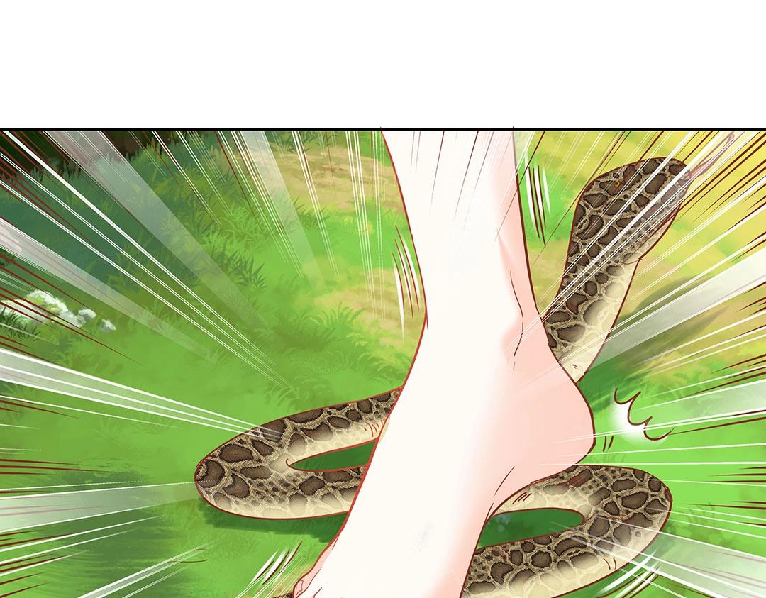 第45话 警报！毒蛇来袭！(1/2)-第46话