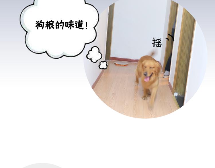 第1期 金丘(1/2)-第2话