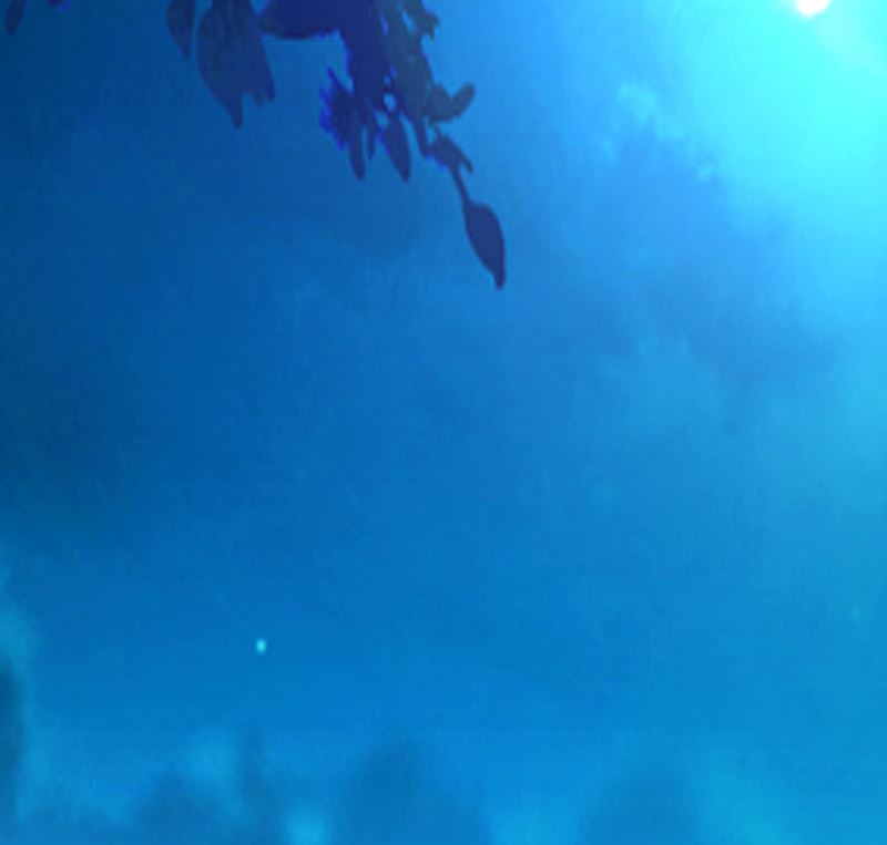 第166话 到底想干嘛？-第170话
