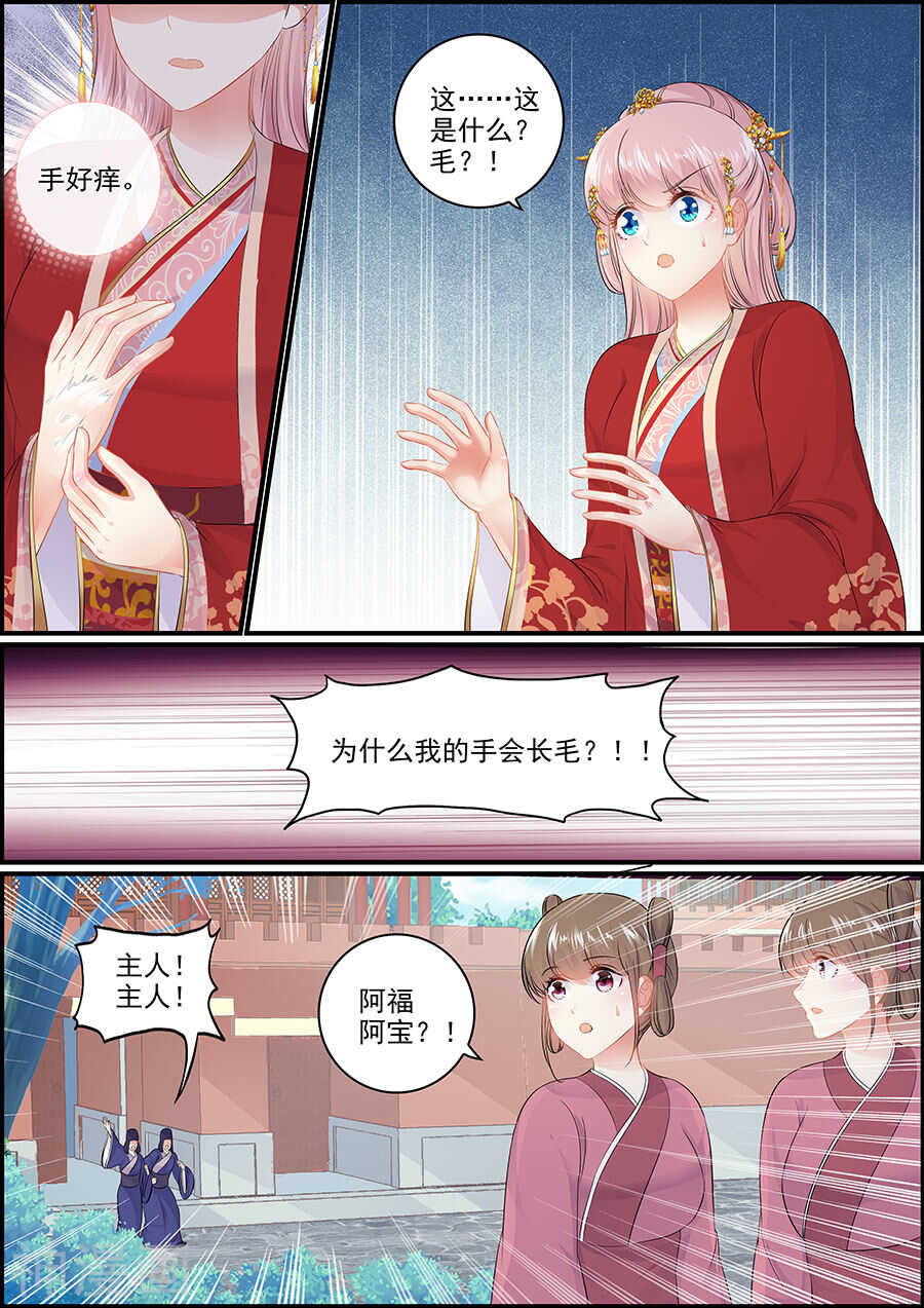 第152话 和亲当日-第152话