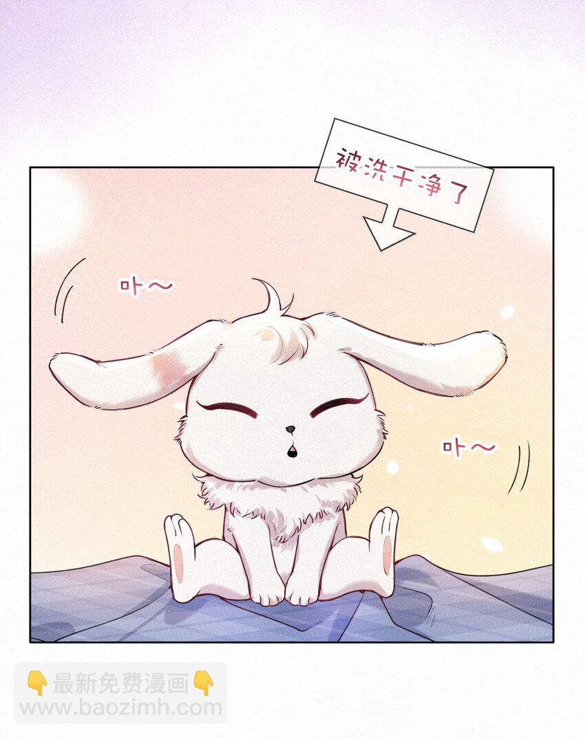 新年番外 捡到一只兔兔澜~-第20话