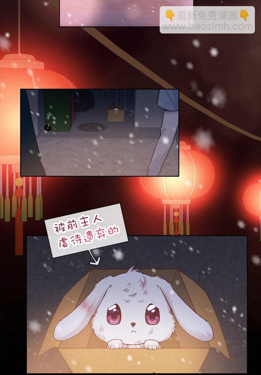 新年番外 捡到一只兔兔澜~-第20话