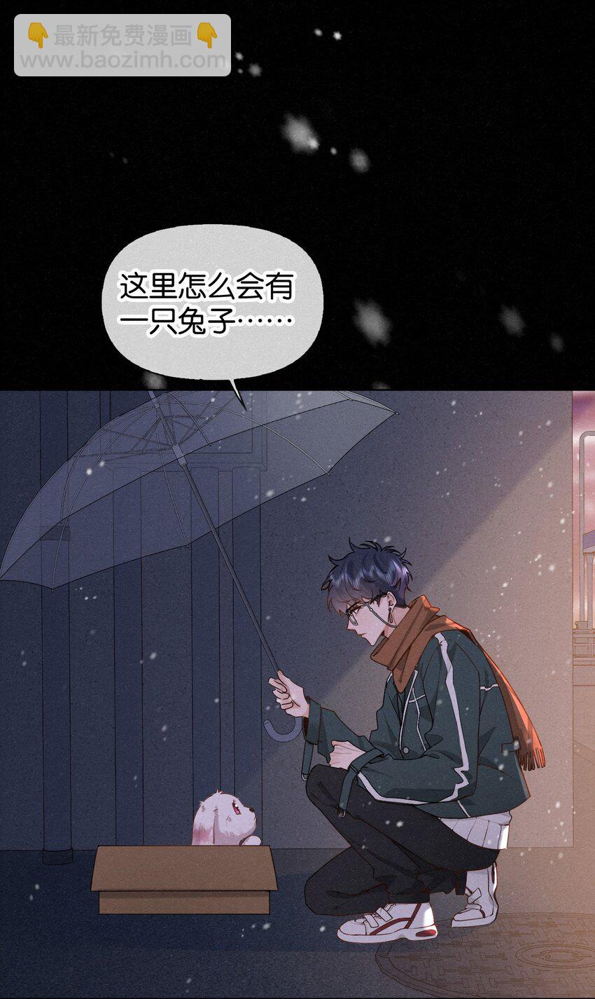 新年番外 捡到一只兔兔澜~-第20话