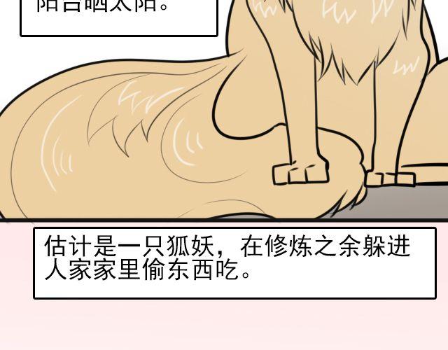 第8话 你有本事来上我！（内有福利哟~）(1/2)-第8话