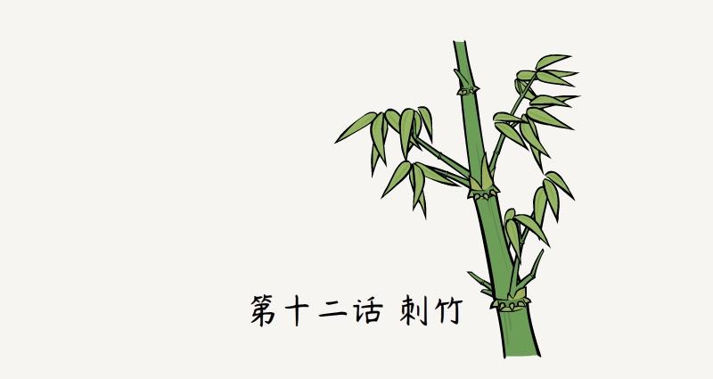 第12话 刺竹-第12话
