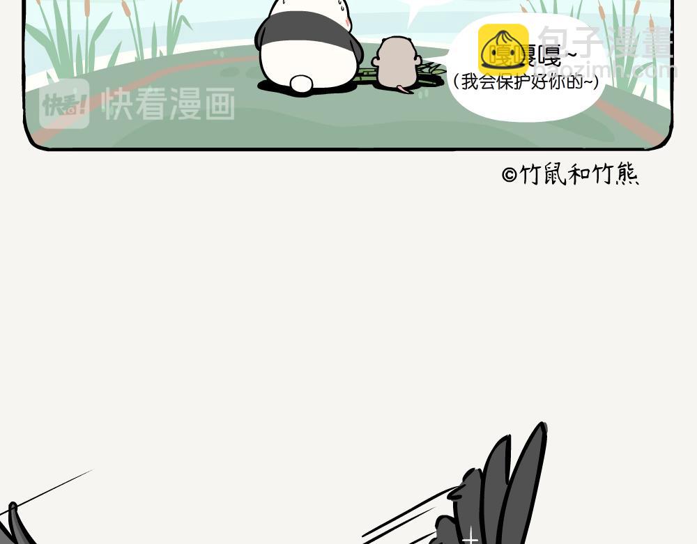 第20话 斑头秋沙鸭-第20话