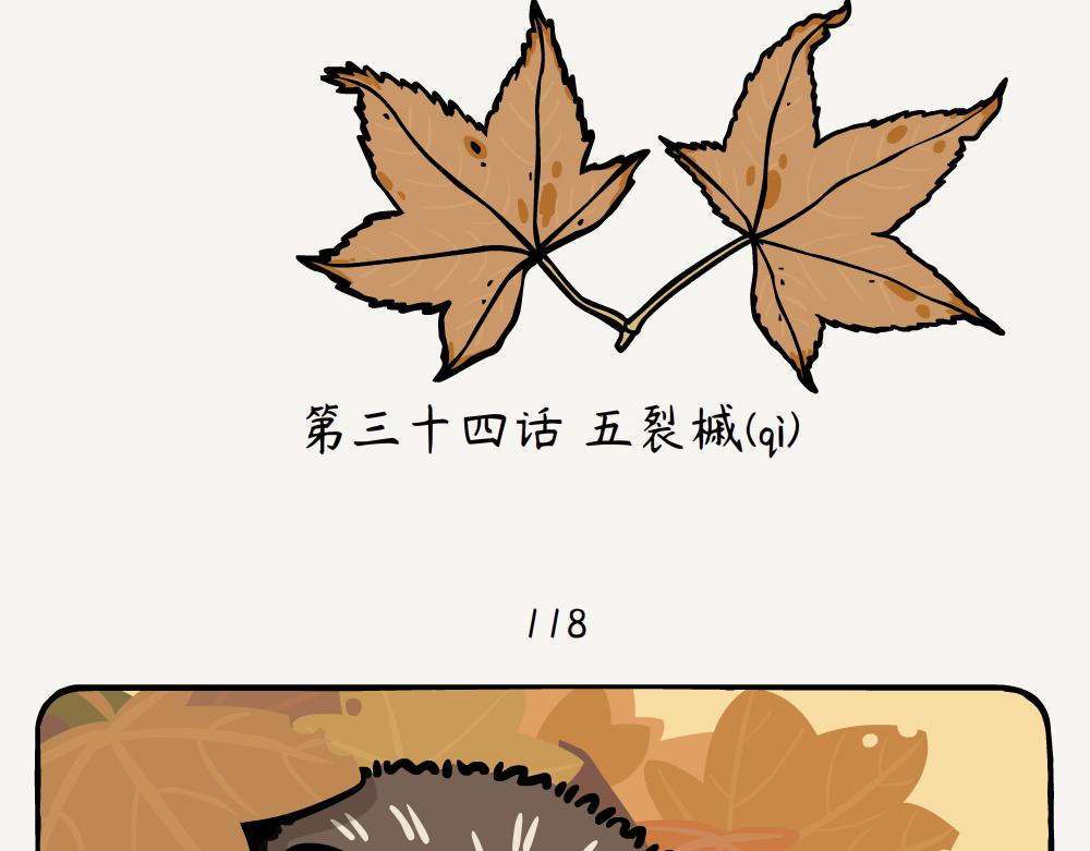 第34话 五裂槭-第34话