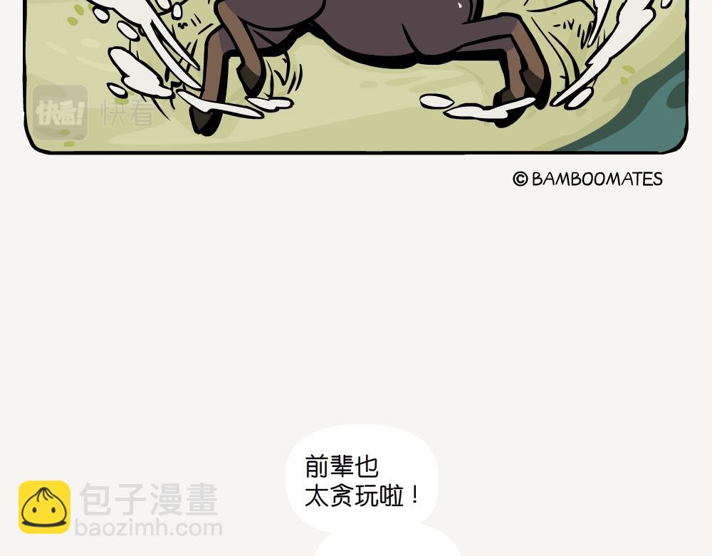 第40话 毛头鬼伞-第40话