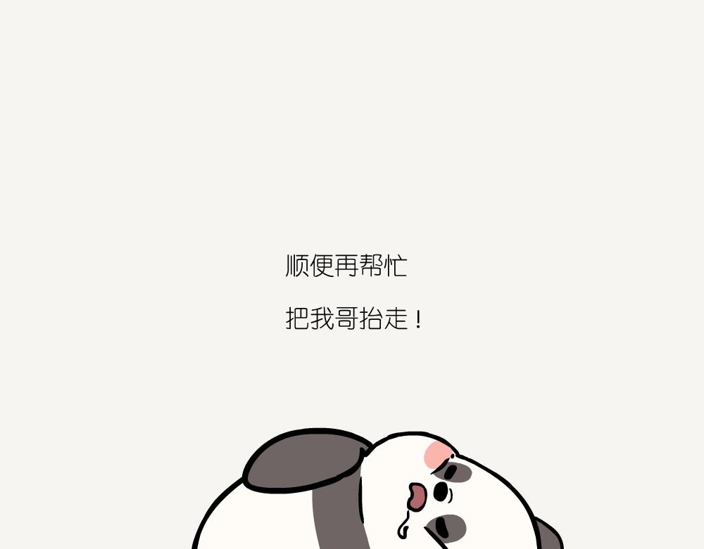 第44话 横纹齿猛蚁-第44话
