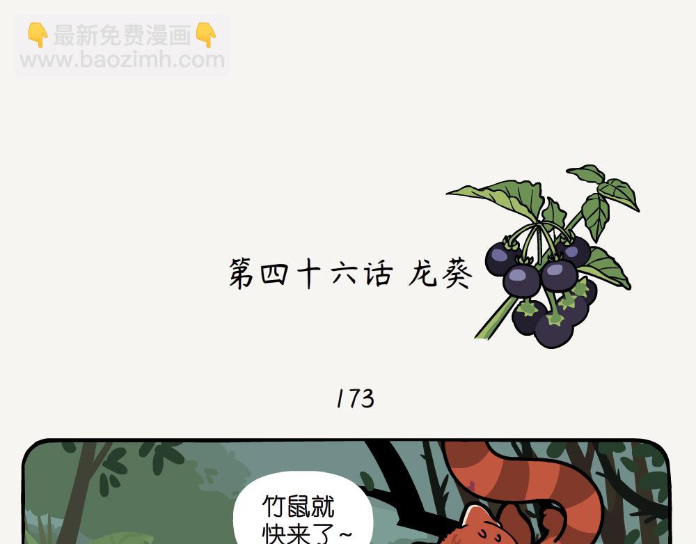 第46话 龙葵-第46话