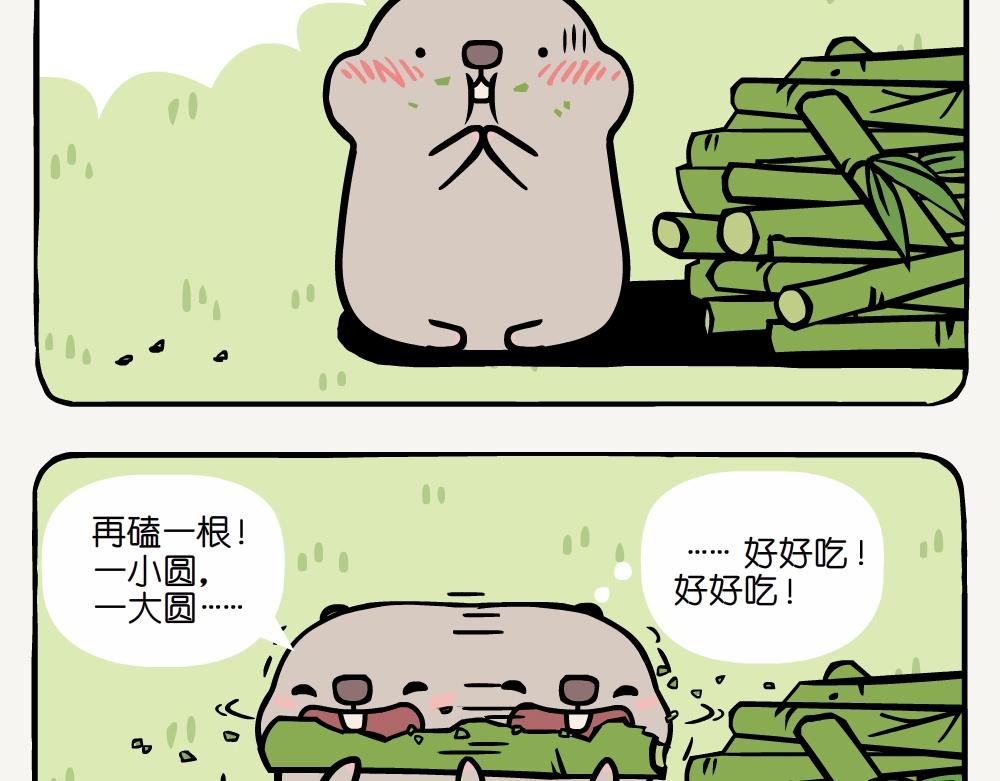 第6话 中华竹鼠-第6话