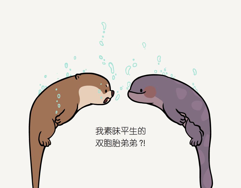 第54话 水獭-第54话