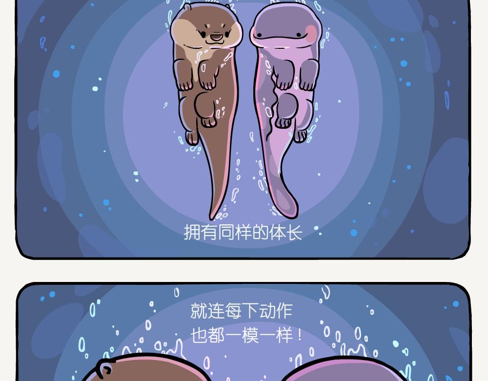 第54话 水獭-第54话