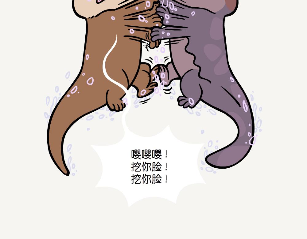第54话 水獭-第54话