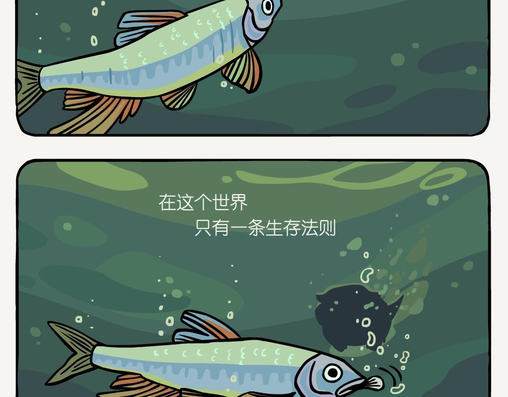 第54话 水獭-第54话
