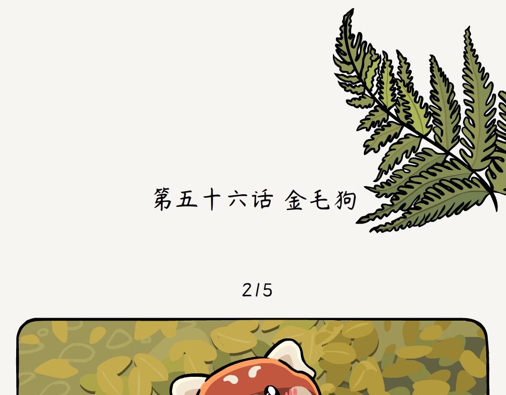 第56话 金毛狗-第56话