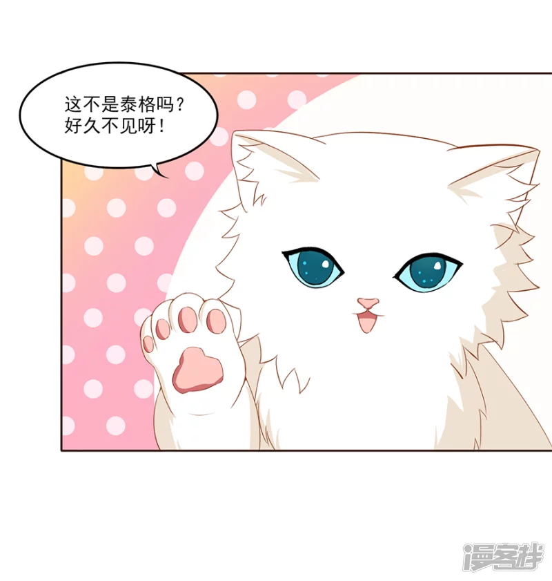 泰格-第22话