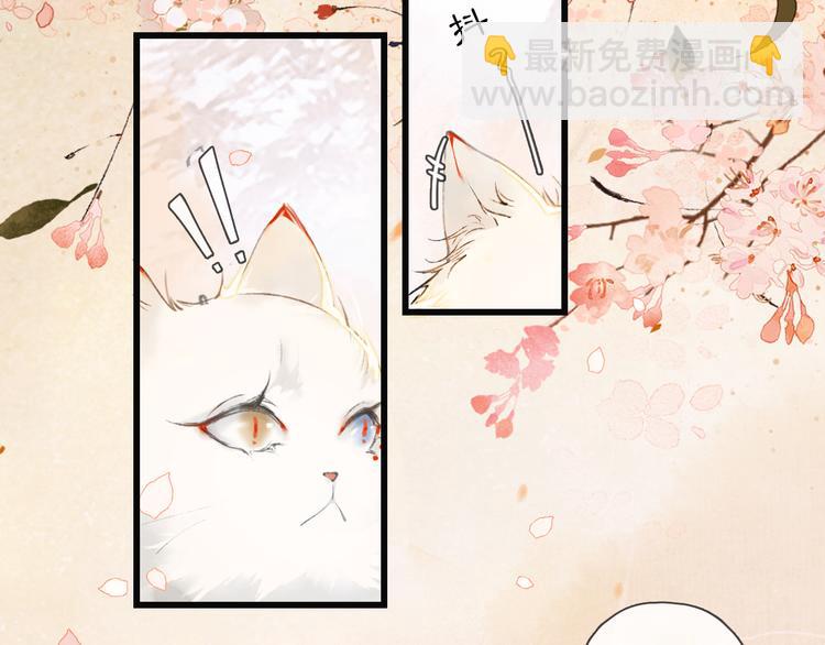 第1话 御猫的神秘生活(1/3)-第4话