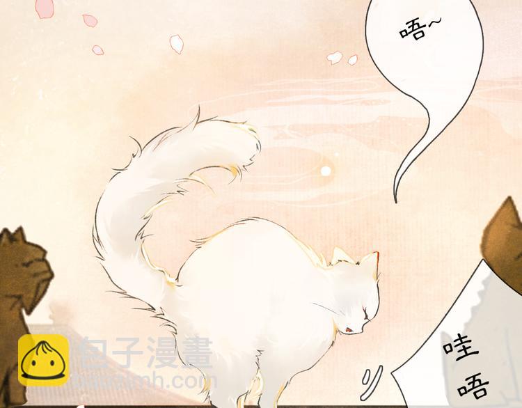 第1话 御猫的神秘生活(1/3)-第4话