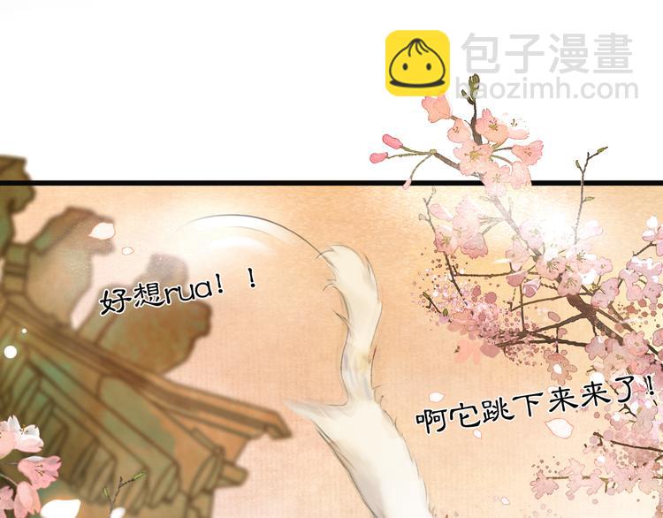第1话 御猫的神秘生活(1/3)-第4话