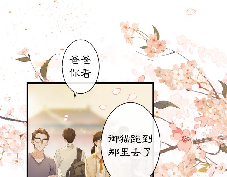 第1话 御猫的神秘生活(1/3)-第4话