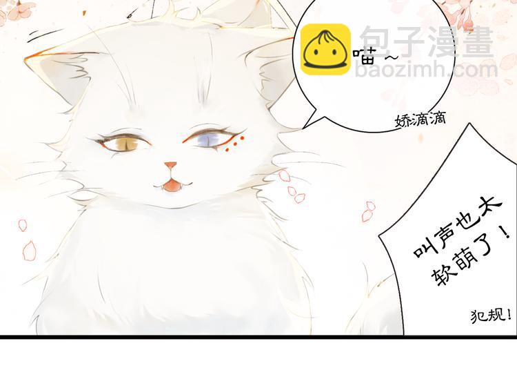 第1话 御猫的神秘生活(1/3)-第4话