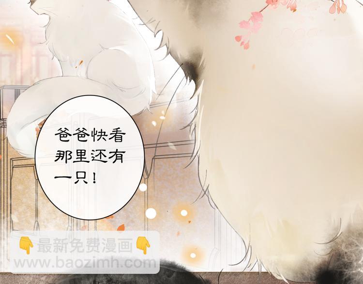 第1话 御猫的神秘生活(1/3)-第4话
