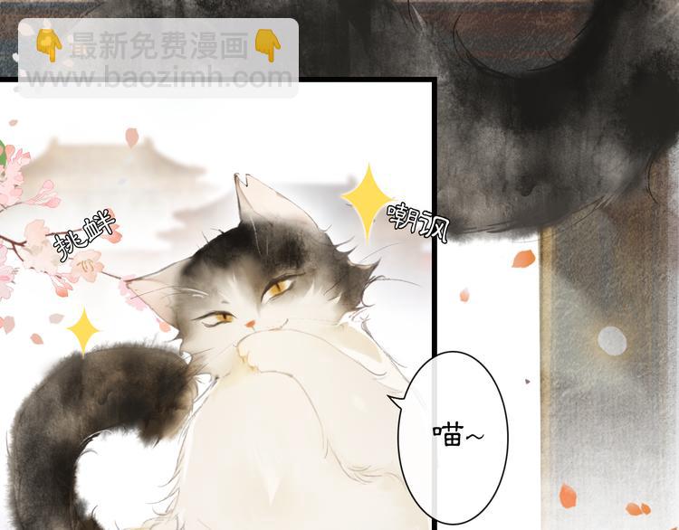 第1话 御猫的神秘生活(1/3)-第4话