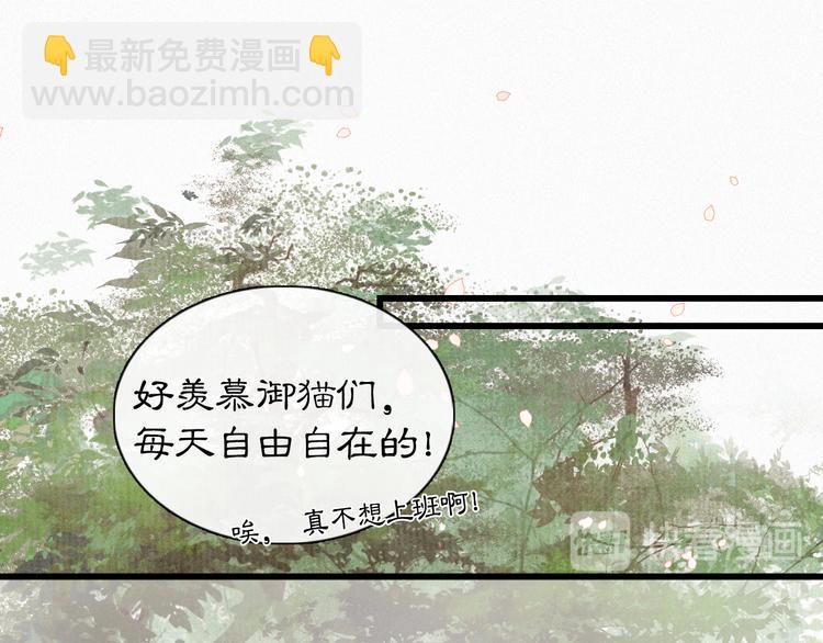 第1话 御猫的神秘生活(1/3)-第4话