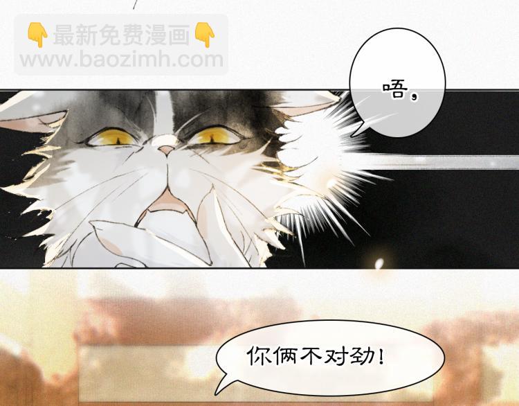第7话 迷糊小仔的告白(1/2)-第56话