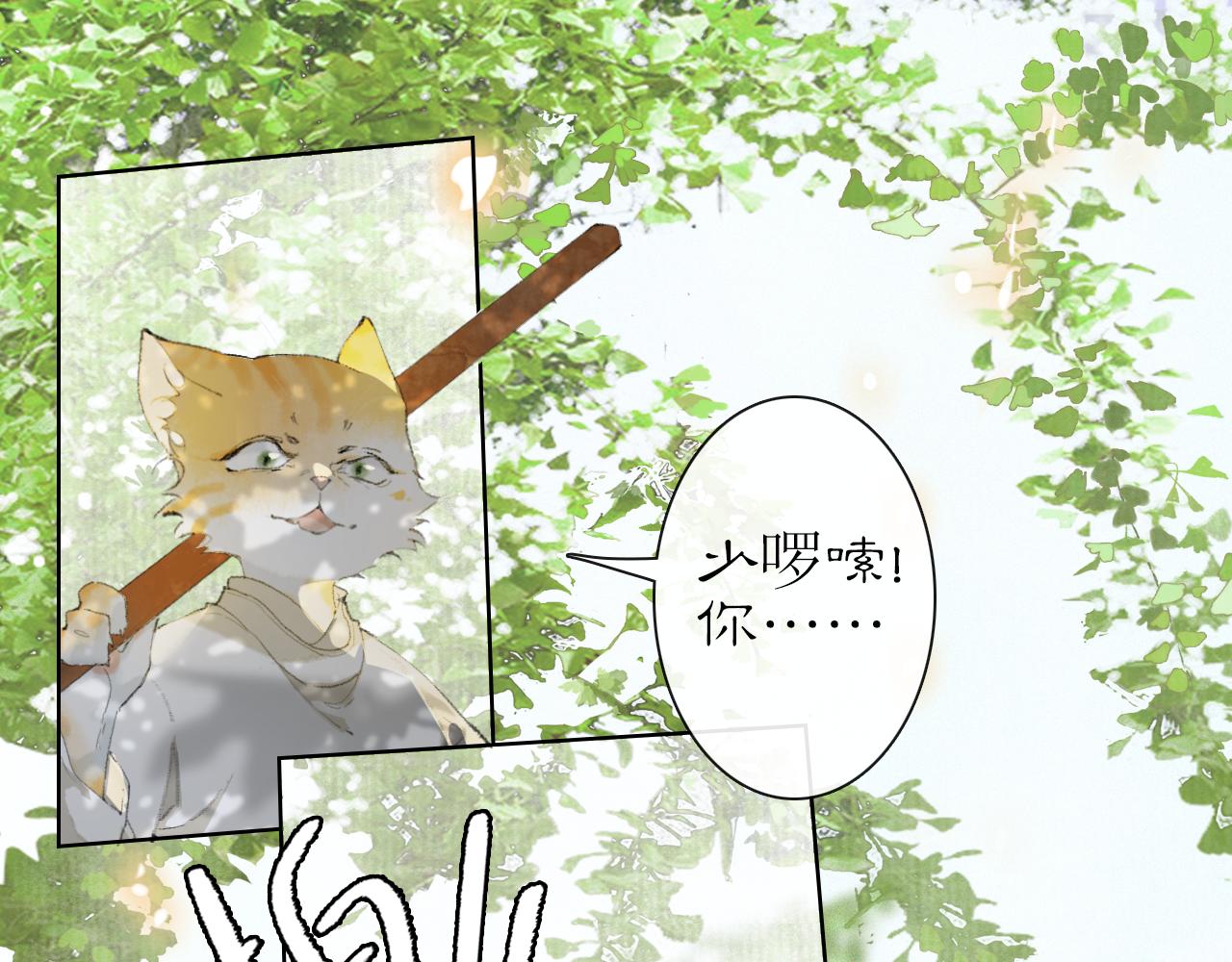 第24话 橘猫大侠-第78话