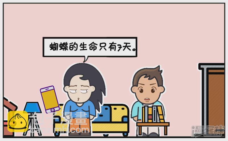 🍲子阳简笔画 楚楚看梁祝被感动的苦了 第3页