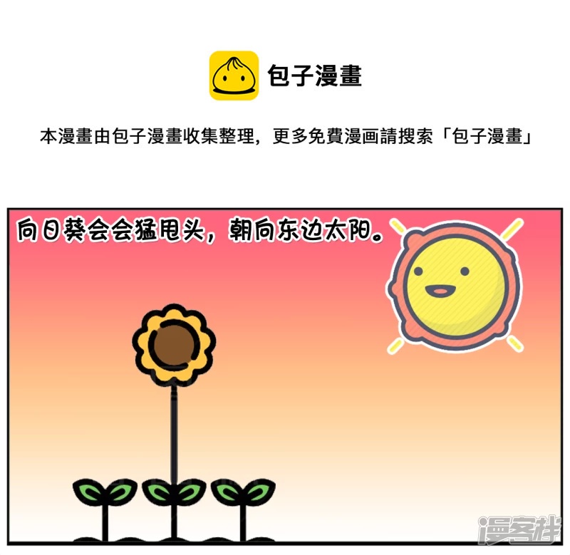 🍲子阳简笔画 子阳不怕鬼却怕向日葵 第5页