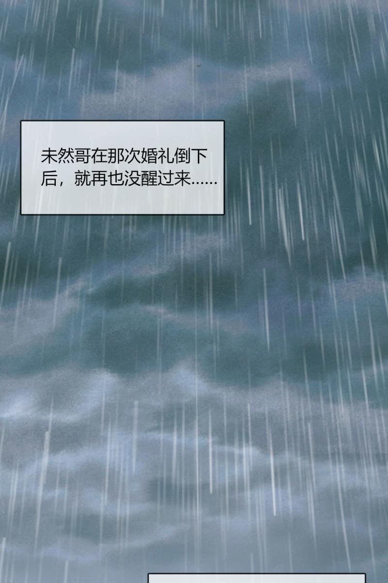 最后的婚礼-第196话