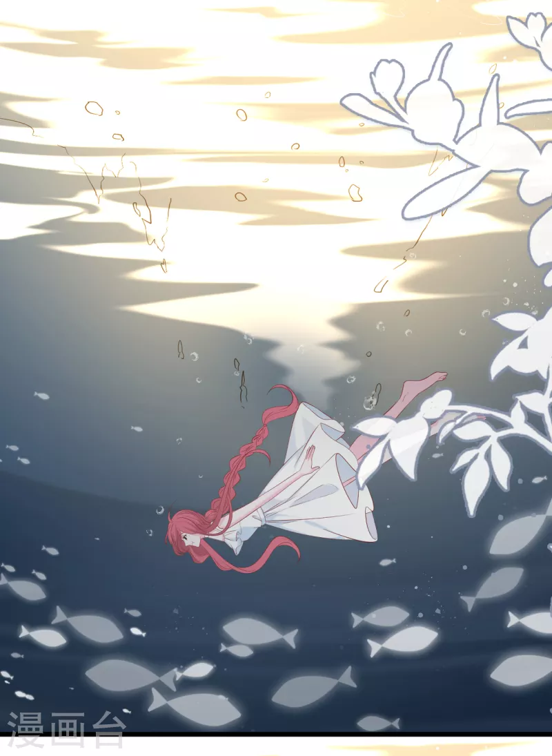 第138话 加衣和海鸥-第146话