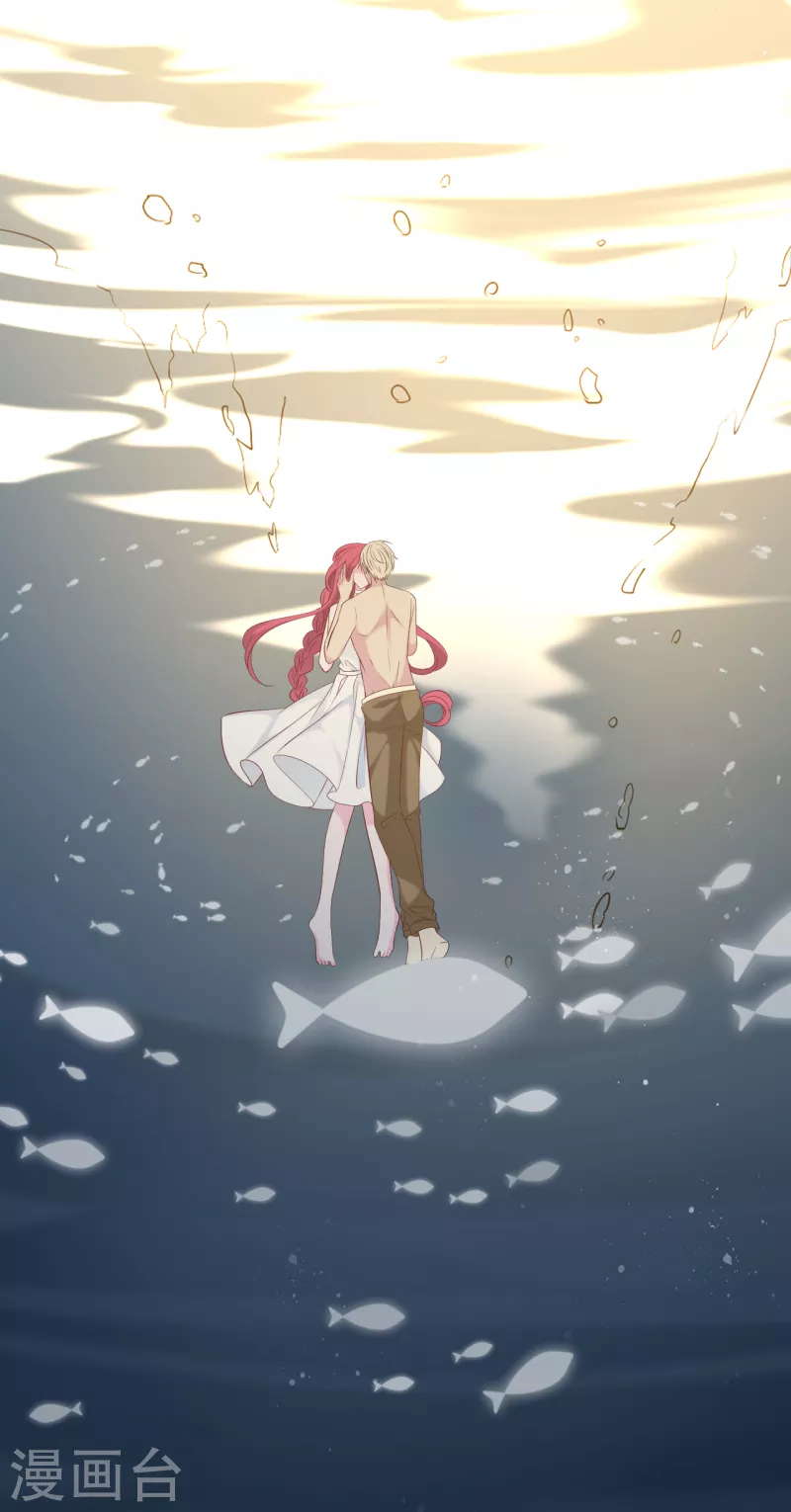 第138话 加衣和海鸥-第146话