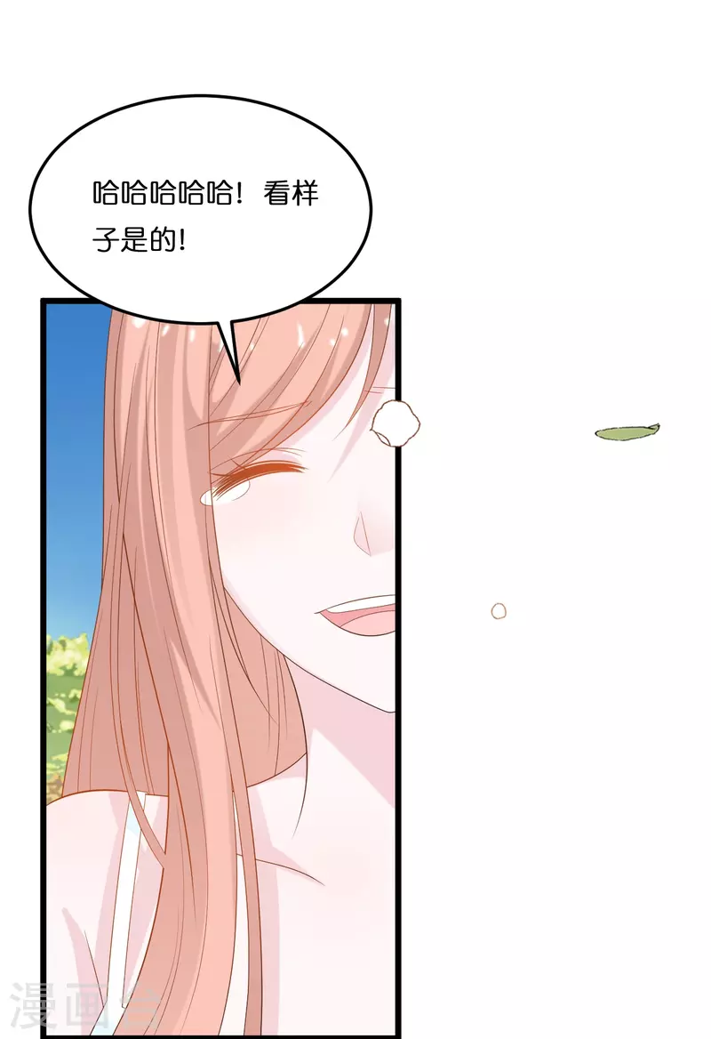 第205话 一杯幸福的茶-第216话