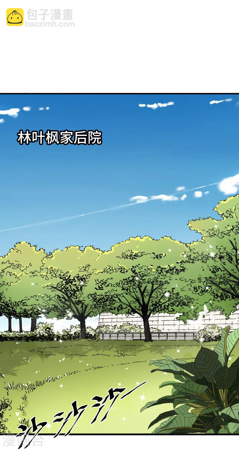 第30话 林家的血脉-第32话