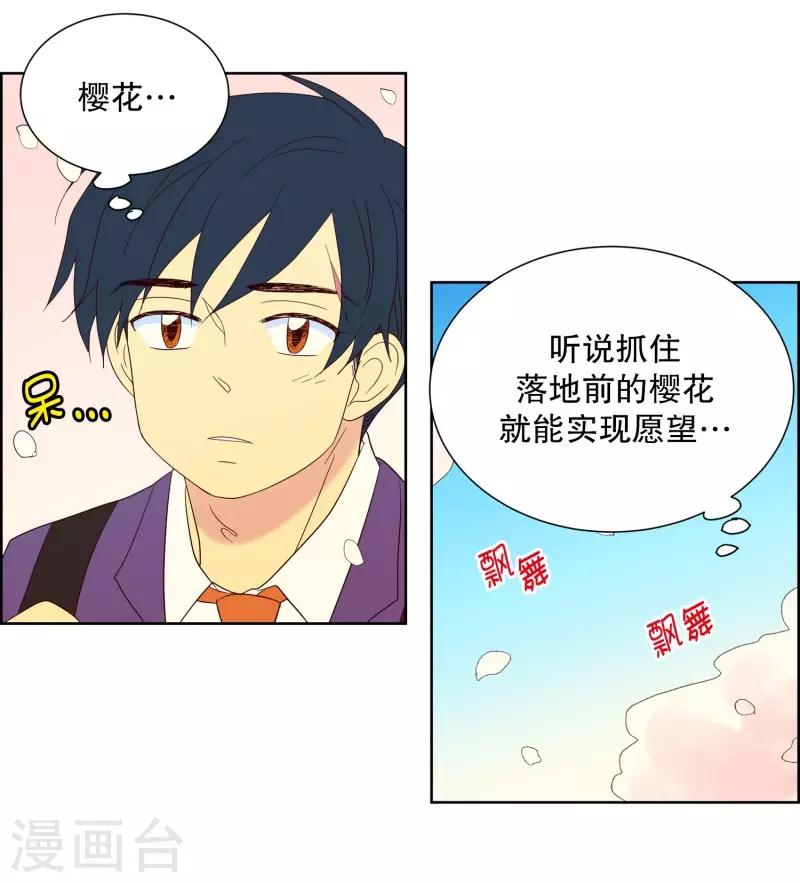 第76话 向花瓣许愿1-第76话