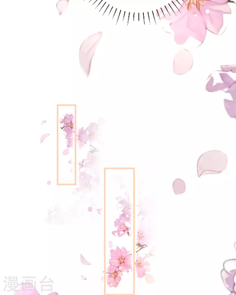 第13话 洗白白-第14话