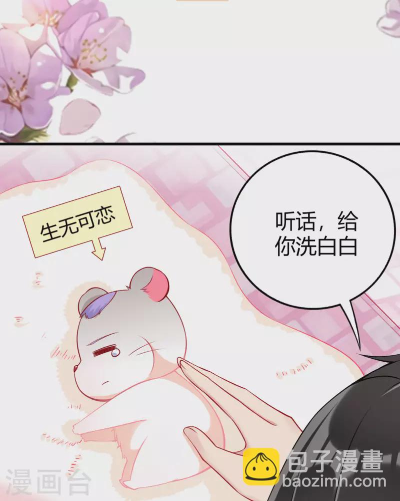 第13话 洗白白-第14话