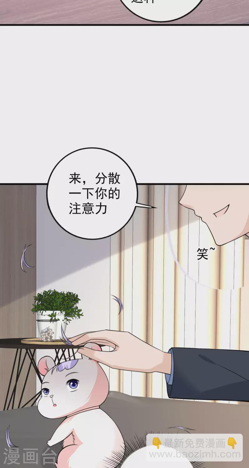第33话 掉毛-第34话