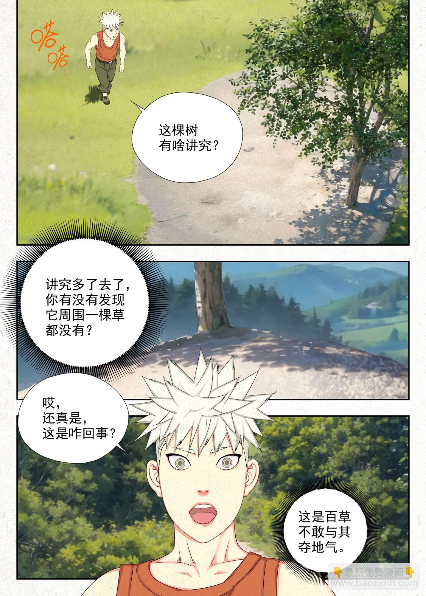 白果树-第44话
