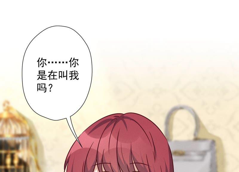 🍲最豪赘婿 龙王殿 第102话 超级VIP 第3页