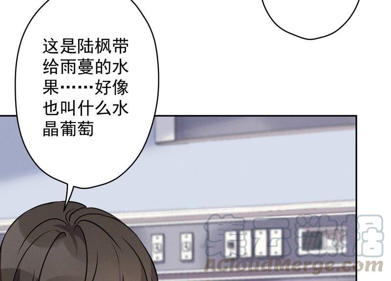 🍲最豪赘婿 龙王殿 第104话 真假水晶葡萄 第22页