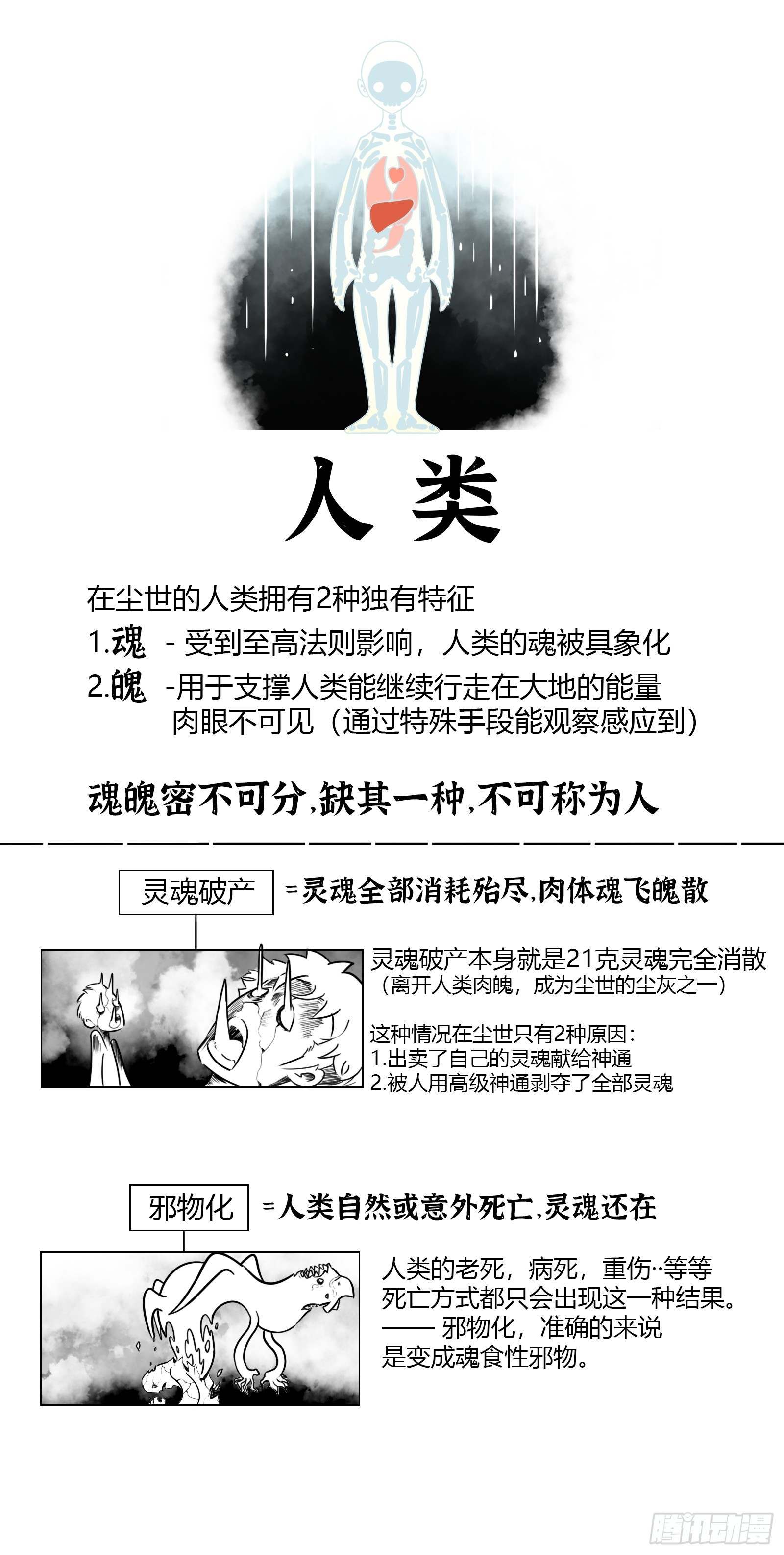 周年庆活动！+设定公布（节选）-第132话